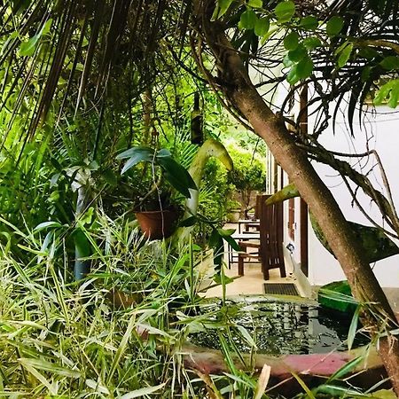 Green Jade Inn 米瑞莎 外观 照片