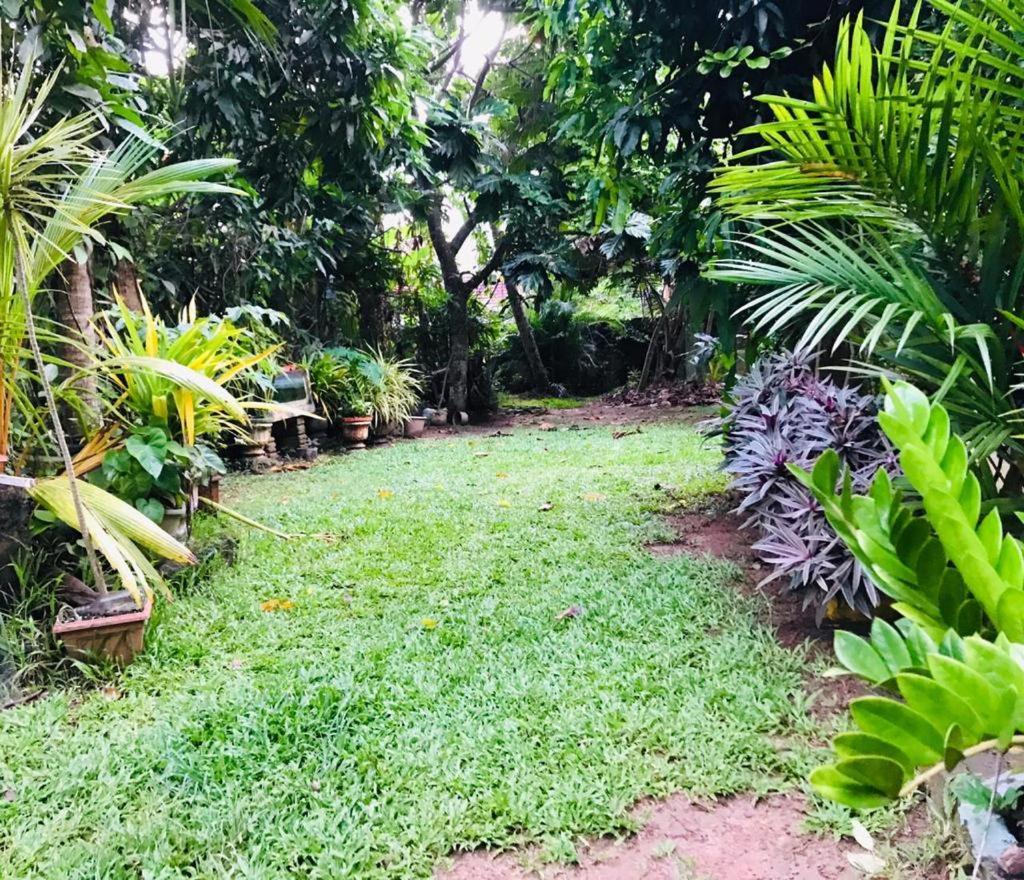 Green Jade Inn 米瑞莎 外观 照片
